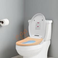 Electric Bidet Toilet Heated Seat Elongated