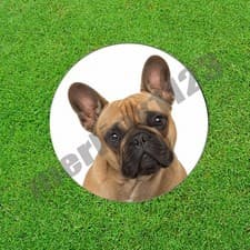 French Bulldog Dog Fawn Black Mask