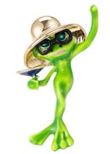 Green Frog Brooch Alien Style Enamel