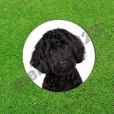 Black Goldendoodle Dog Golf Ball Marker