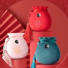 Lucky Bag Hand Warmer In Rechargeable