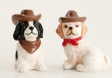 Dogs With Cowboy Hat Salt