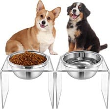 Acrylic Elevated Dog Bowls Stand 6.3"