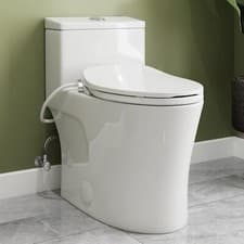 One-piece Smart Toilet With Bidet Seat