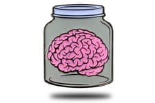 Brain IN JAR PIN Novelty Funny,