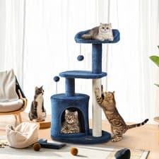 Small Cat Tree Tower For Kittens