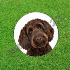 Chocolate Goldendoodle Dog Golf Ball Marker