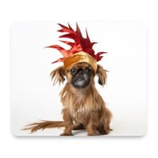Brussels Griffon Rooster Hat Costume Mouse