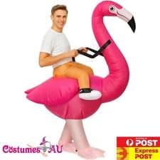 Mens Inflatable Ride On Flamingo Animal