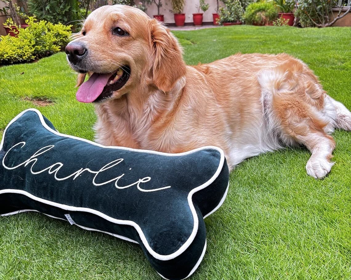Personalized Dog Bone Pillow – Custom Name Pet Cushion – Large Dog Bed Accessory