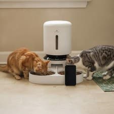 Wi-fi Cat Feeder With HD Camera