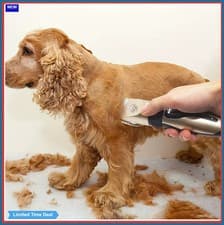 Pet Hair Trimmer Kit Electric Precision