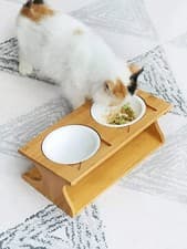 Elevated Double Ceramic Pet Bowls