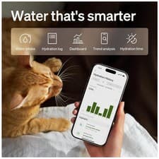 Hydration Tracker For Cats, 3L Stainless