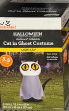 Cat In Ghost Costume Halloween Yard