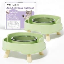 Ant Proof Cat Food Bowl Elevated