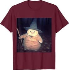 Wizard Fat Cat Funny Weird Meme