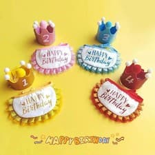 Pet Birthday Props Dog Party Hat