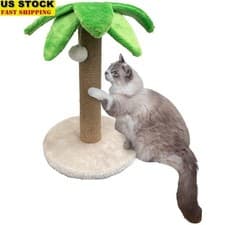 Palm Tree Cat Scratcher Post Interactive