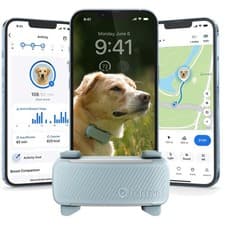 Comprehensive Dog GPS Tracker Health Alerts,