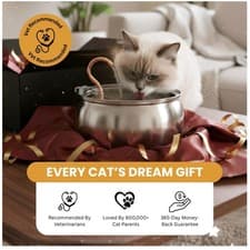 Ultra-quiet 4L Cat Water Fountain Stainless