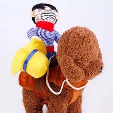 Dog Cat Cowboy Rider Costume Pet