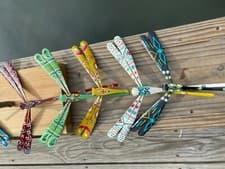 Bamboo Dragonfly, Dragonflies. 100 BIG Self
