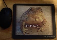 Got Coffee? Mouse Pad Frog Toad