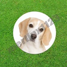 Lemon White Beagle Dog Golf Ball