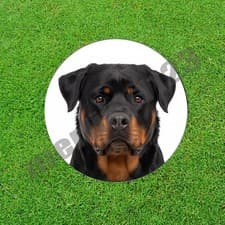 Black Mahogany Rottweiler Dog Golf Ball