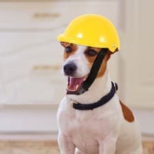 Plastic Dog Novelty Dog Headgear Plastic