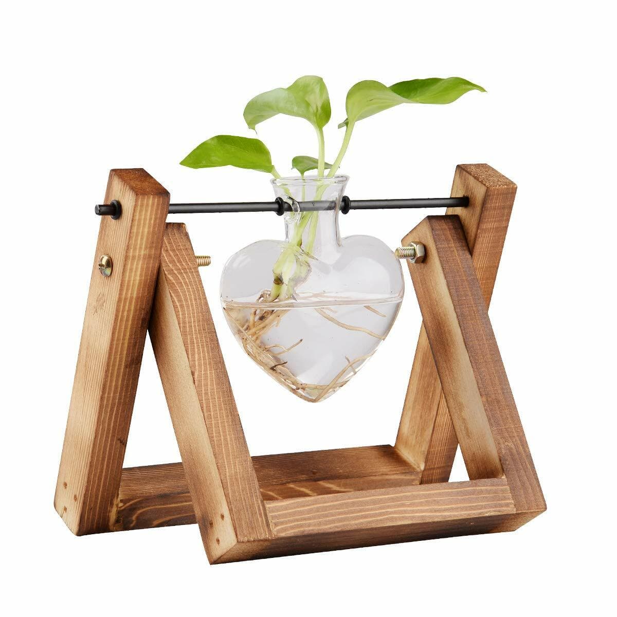 Luxe PREMIUM Glass Table Top Indoor Planter Unique Plant Stand Plant Parent Gift